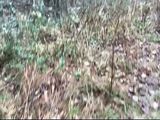 Clitlicker662 - update #61 - IMG 1577 - Mar 13, 2026